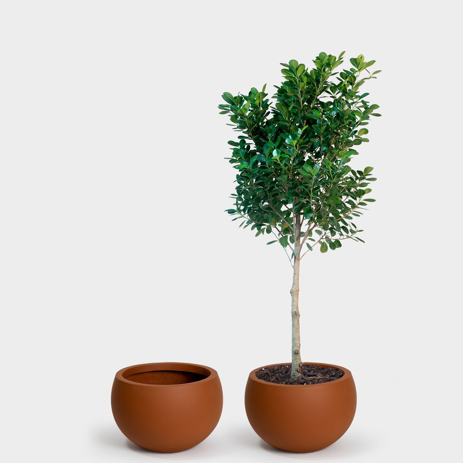 Calyer 46 Large Planter - Image 14