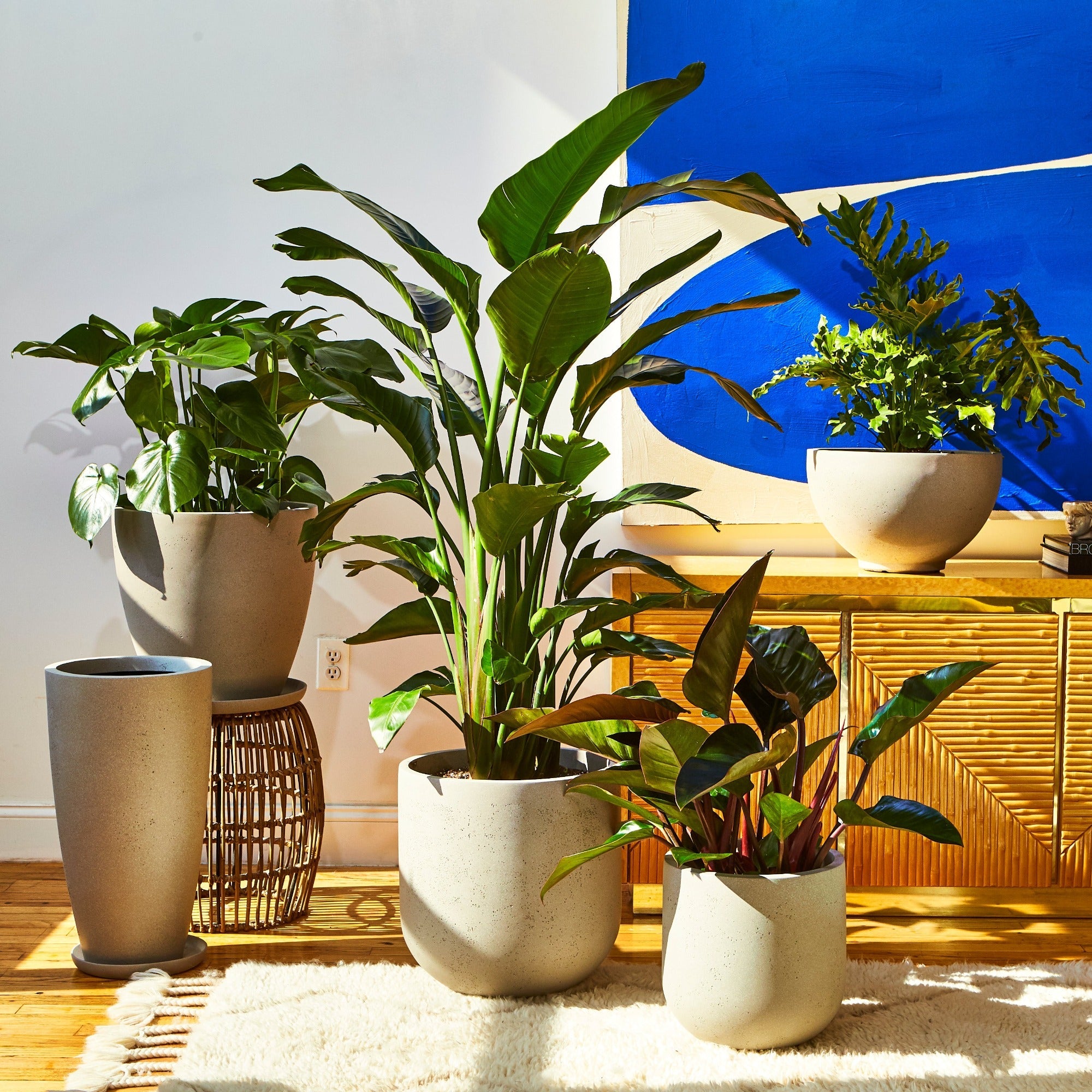 Wythe 30 Large Planter - Image 9